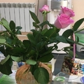 Фото Медицинский центр Мусаловой на Салмышской