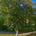 Фото Озёрская ЦРБ