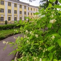 Фото Центр восстановительного лечения «Родные люди»