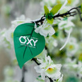 Фото Клиника «OXY-center»