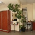 Фото Оздоровительный центр «Формула Здоровья»