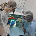 Фото Стоматология «Родня» на Октябрьском проспекте