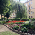 Фото Воронежская городская клиническая больница №20