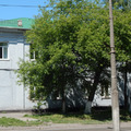 Фото Подразделение №2 ГП №1