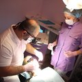 Фото Частная стоматологическая практика «DKclinik»