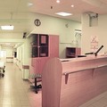 Фото Российский научно-исследовательский институт травматологии и ортопедии им Вредена