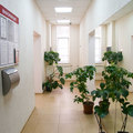 Фото Клиника «Веда»