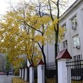 Фото Больница №61 (сейчас УКБ 4 МГМУ)